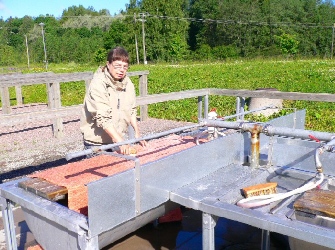 Foto de Rajamaki, Finlandia