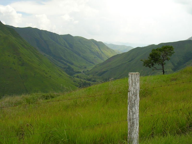 Foto de Colonia Tovar, Venezuela