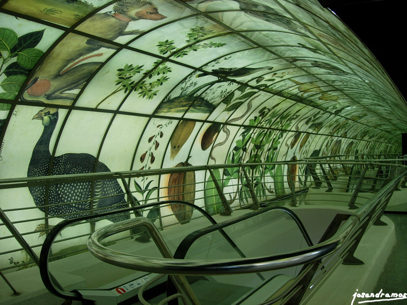 Foto de Valencia (València), España