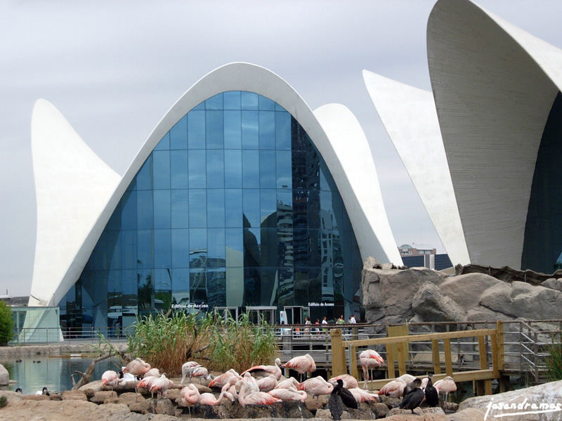 Foto de Valencia (València), España