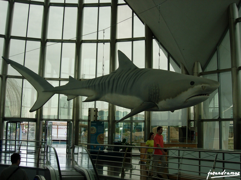 Foto de Valencia (València), España