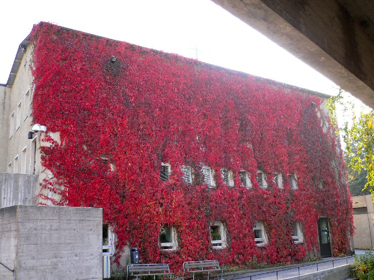 Foto de Jarvenpaa, Finlandia