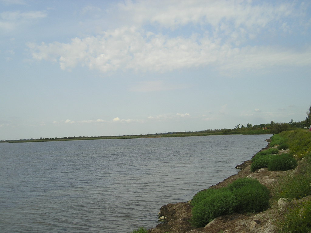 Foto de La Camargue, Francia