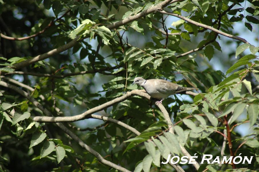 Foto de Jerez  de la Frontera (Cádiz), España