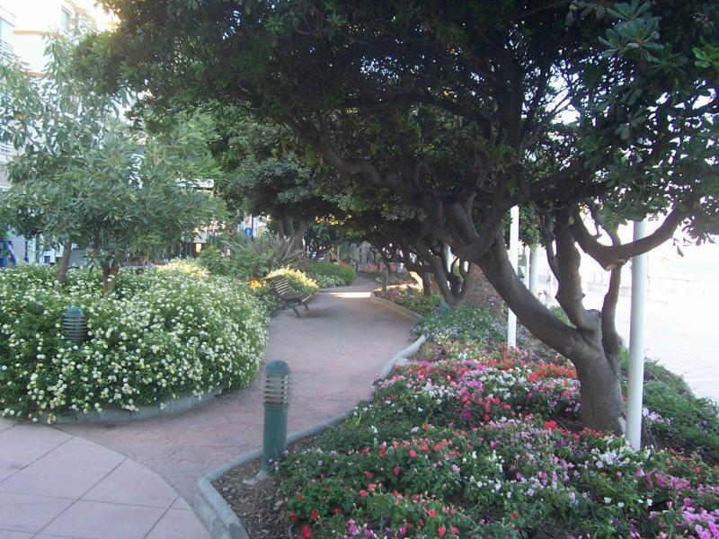 Foto de Estepona (Málaga), España