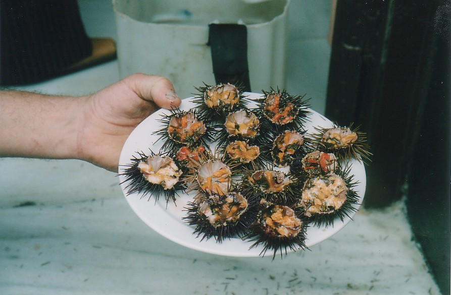 Foto de Cádiz (Andalucía), España