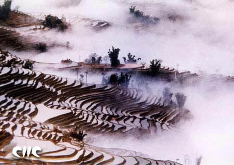 Foto de yunnan, China