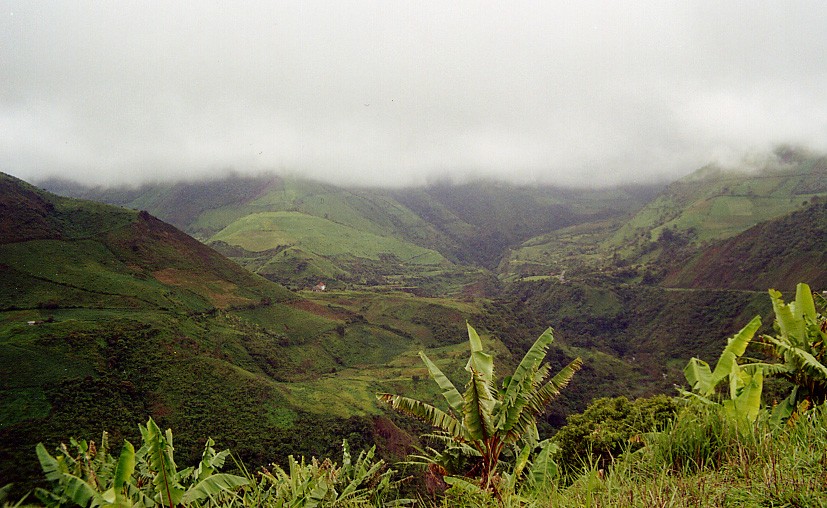 Foto de Babahoyo Valley, Ecuador
