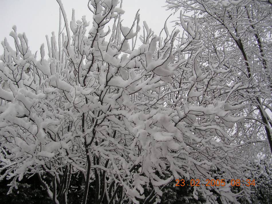 Foto de Pozuelo de Alarcón (Madrid), España