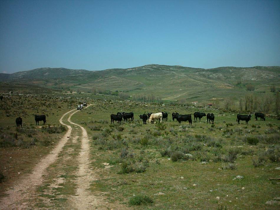 Foto de Sanchorreja (Ávila), España