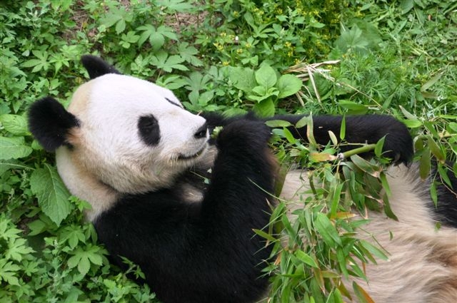 Foto de nanchang, China