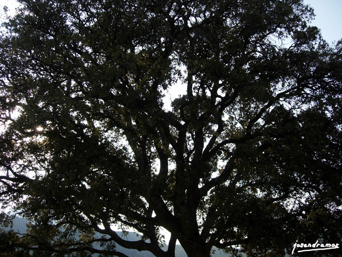 Foto de Zahara de la Sierra (Cádiz), España
