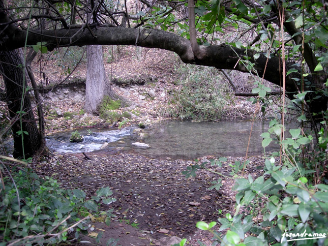 Foto de El Bosque (Cádiz), España