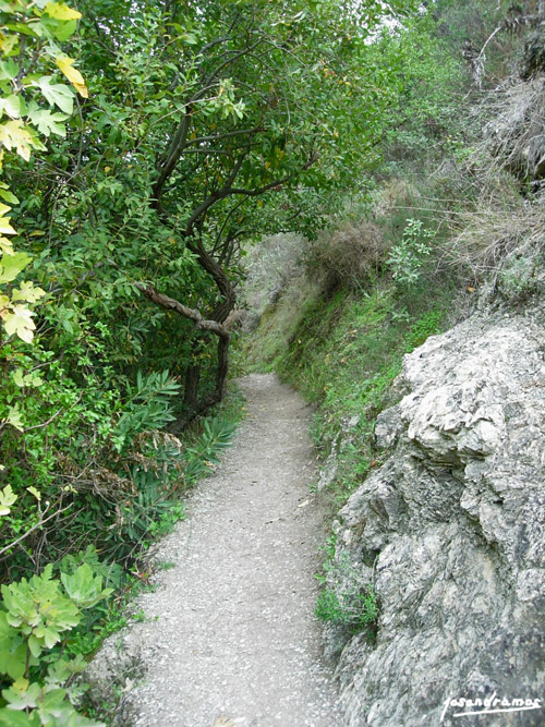 Foto de El Bosque (Cádiz), España