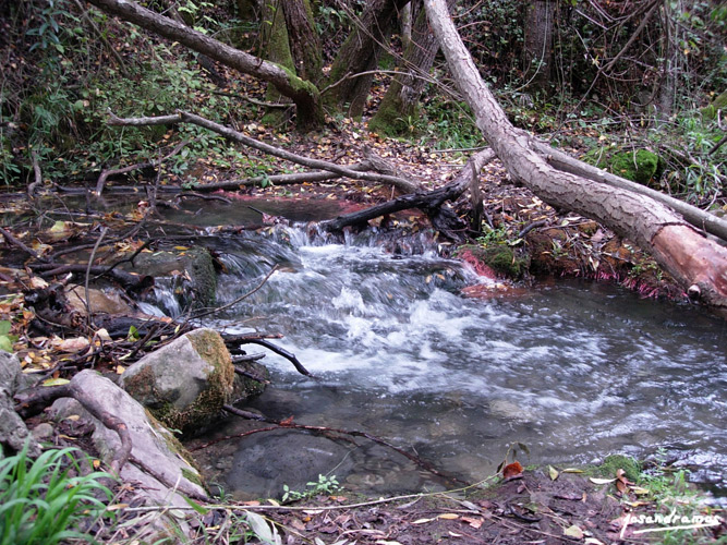 Foto de El Bosque (Cádiz), España