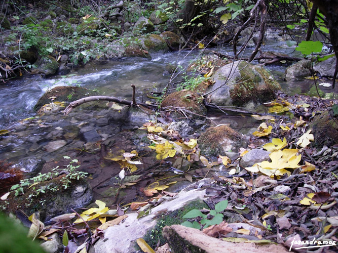 Foto de El Bosque (Cádiz), España