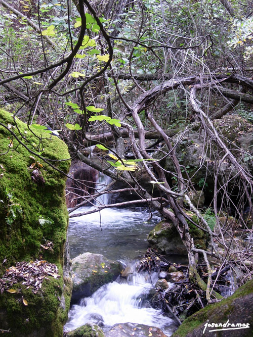 Foto de El Bosque (Cádiz), España