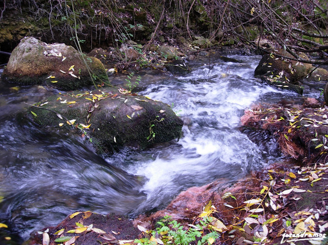 Foto de El Bosque (Cádiz), España