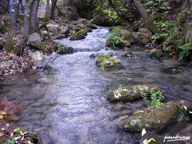 Foto de El Bosque (Cádiz), España