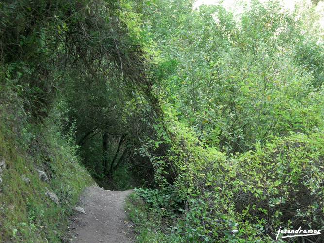 Foto de El Bosque (Cádiz), España