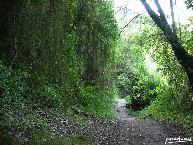 Foto de El Bosque (Cádiz), España