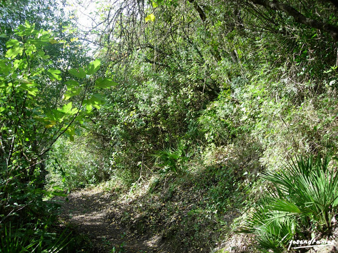 Foto de El Bosque (Cádiz), España