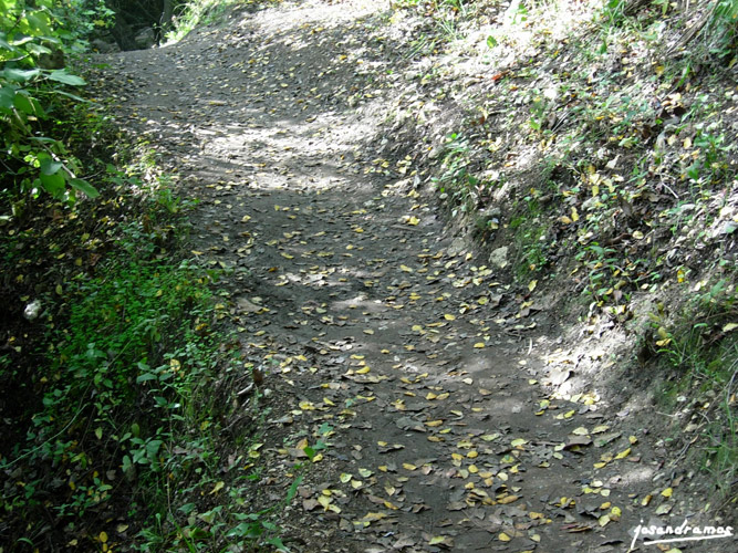 Foto de El Bosque (Cádiz), España