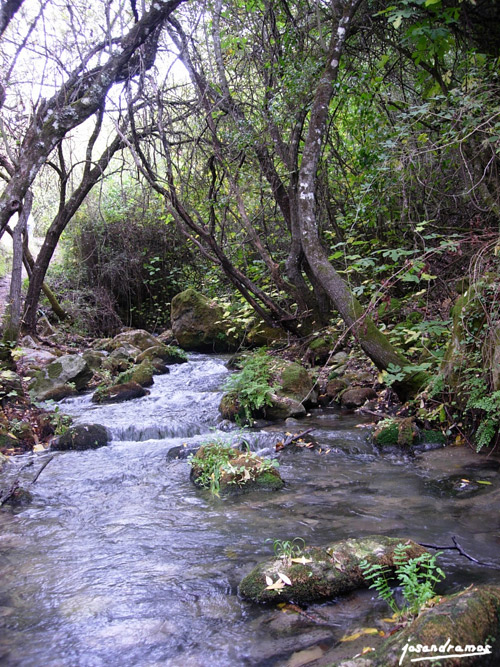 Foto de El Bosque (Cádiz), España