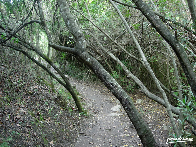 Foto de El Bosque (Cádiz), España