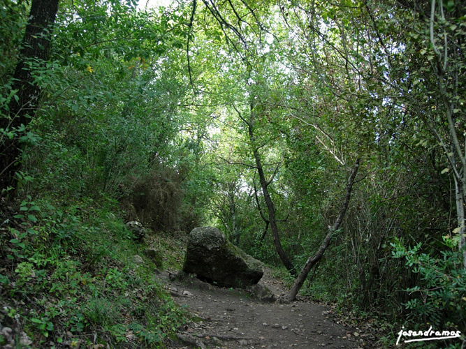 Foto de El Bosque (Cádiz), España