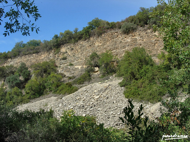 Foto de El Bosque (Cádiz), España