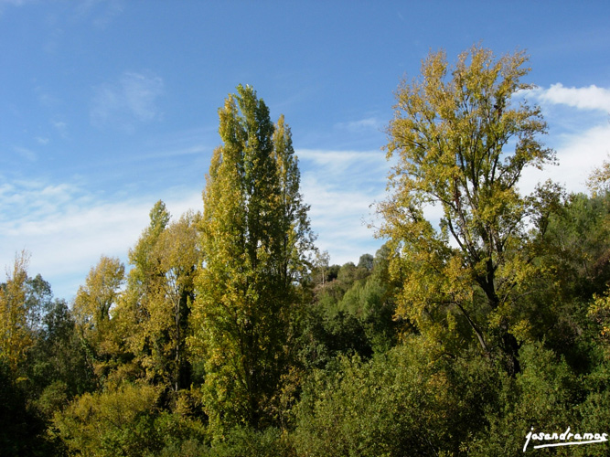 Foto de El Bosque (Cádiz), España
