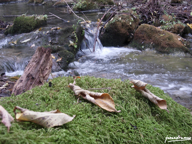 Foto de El Bosque (Cádiz), España