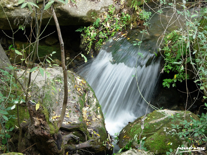 Foto de El Bosque (Cádiz), España