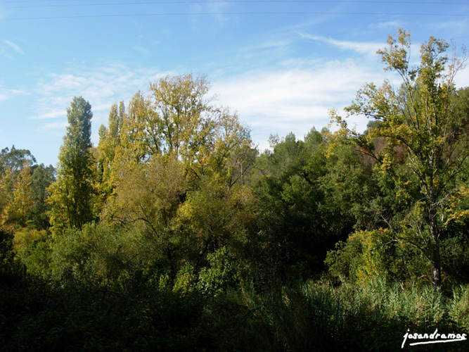 Foto de El Bosque (Cádiz), España