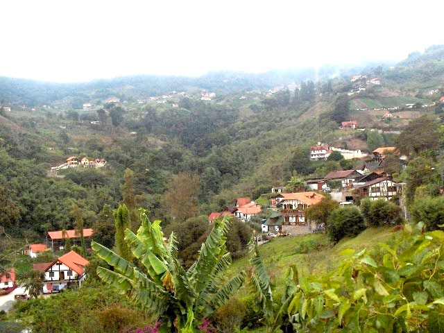 Foto de Colonia Tovar, Venezuela