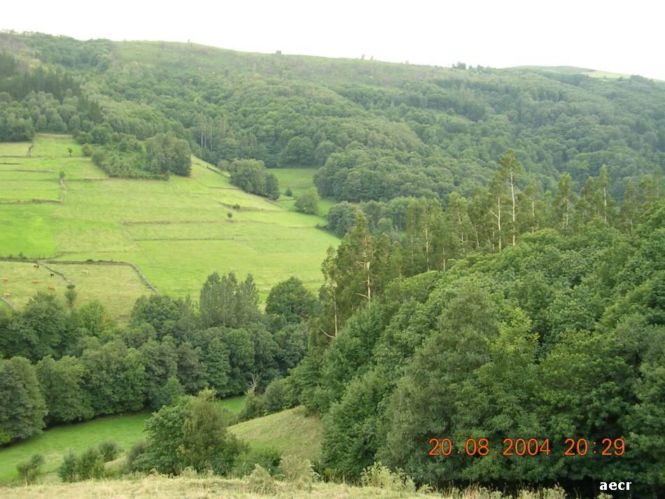 Foto de Carbayeu, Pola de Allande (Asturias), España