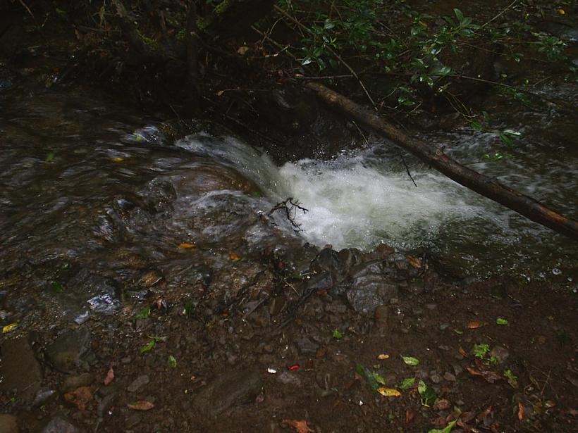 Foto de La Gomera (Santa Cruz de Tenerife), España