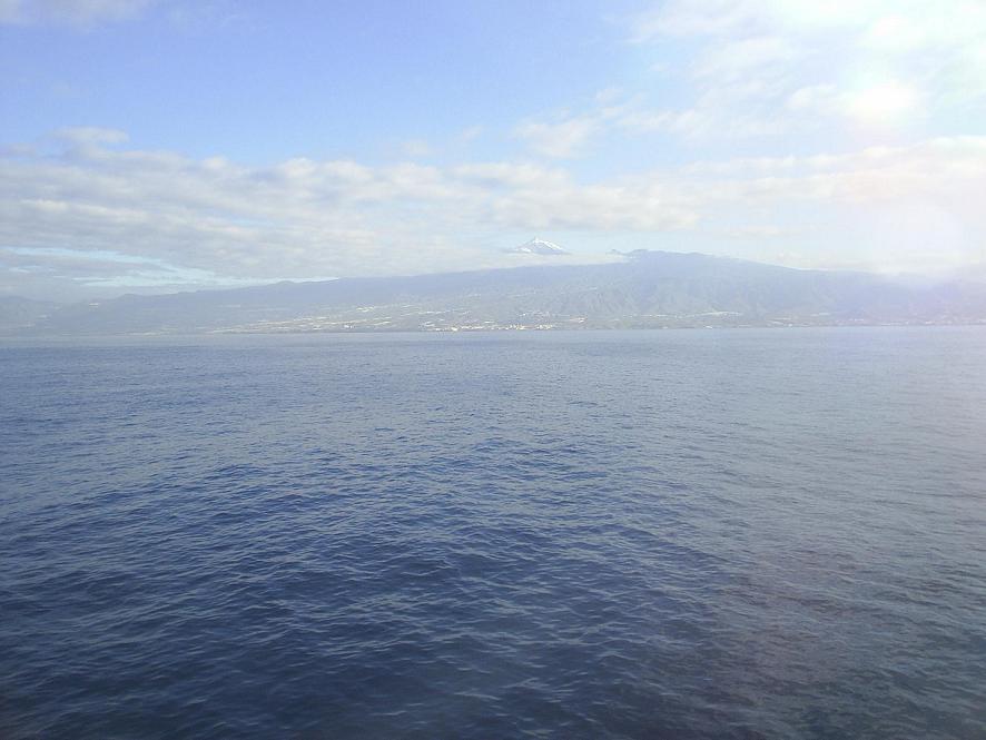 Foto de Tenerife (Santa Cruz de Tenerife), España