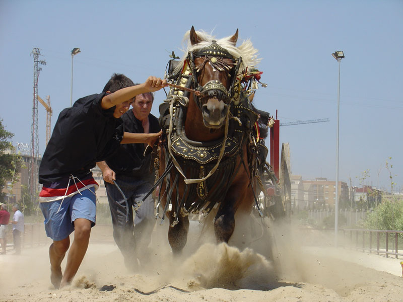 Foto de Massanassa (València), España