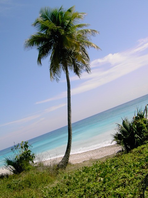 Foto de BAHORUCO, República Dominicana