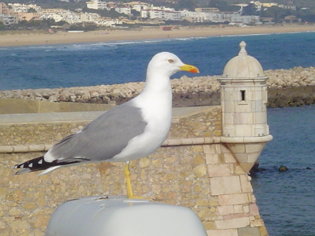 Foto de Lagos, Portugal