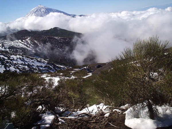 Foto de Las Cañadas del Teide (Santa Cruz de Tenerife), España