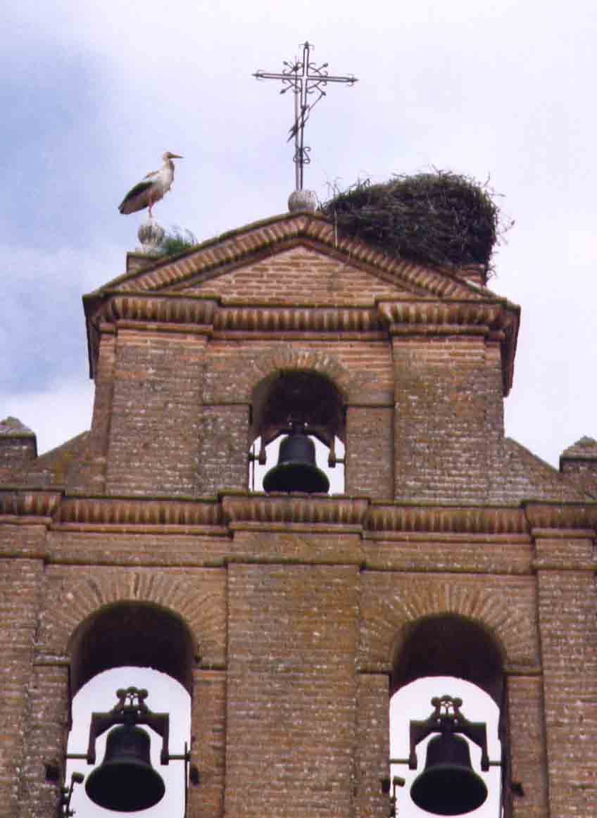 Foto de Tordesillas (Valladolid), España