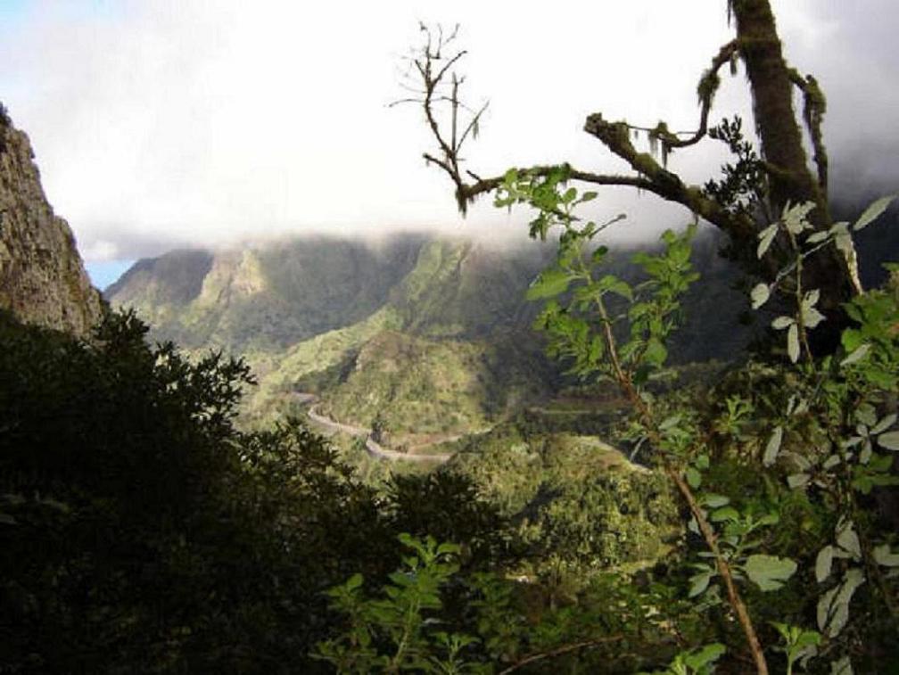 Foto de La Gomera (Santa Cruz de Tenerife), España
