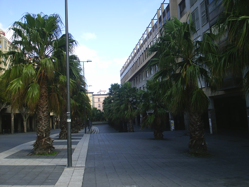 Foto de La Laguna (Santa Cruz de Tenerife), España