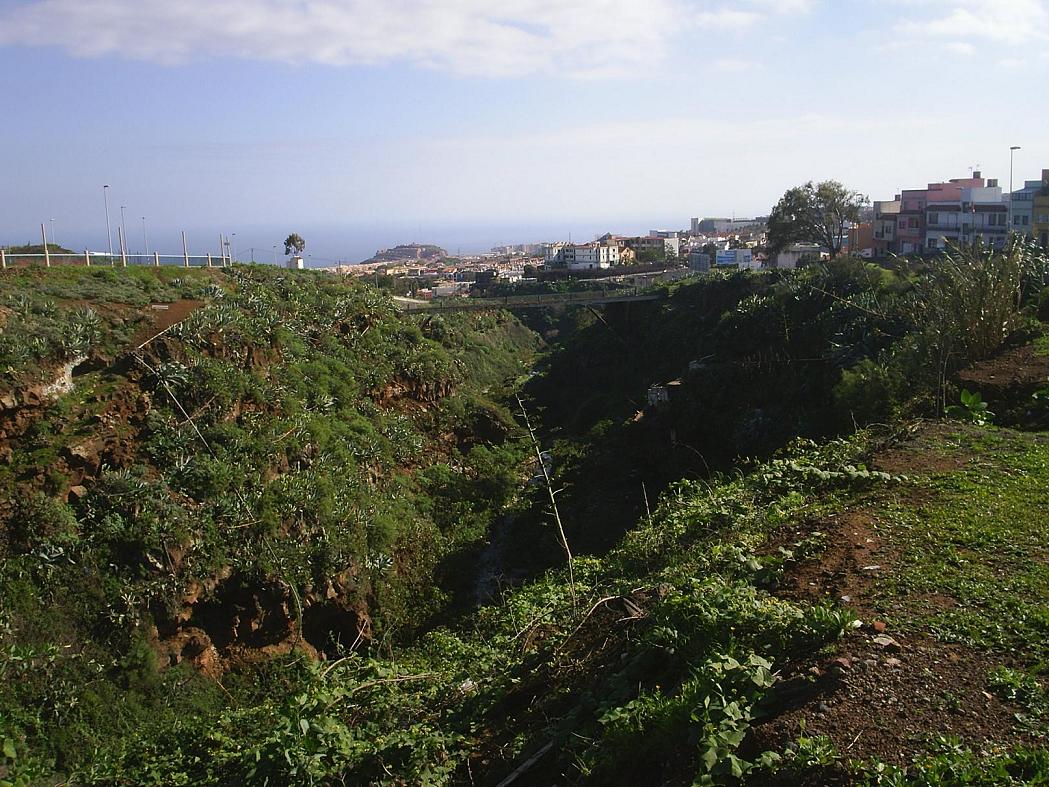 Foto de La Laguna (Santa Cruz de Tenerife), España