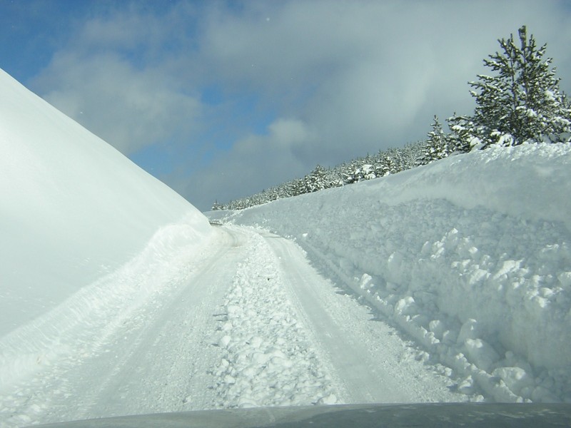 Foto de Puerto de San Glorio (León), España