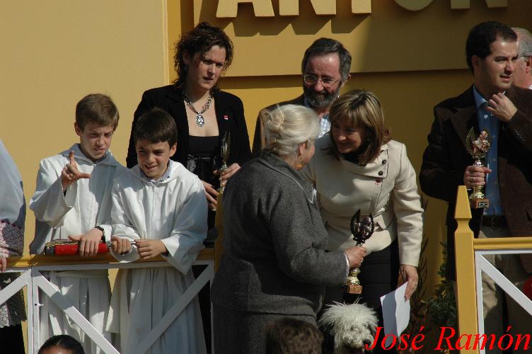 Foto de Jerez  de la Frontera (Cádiz), España