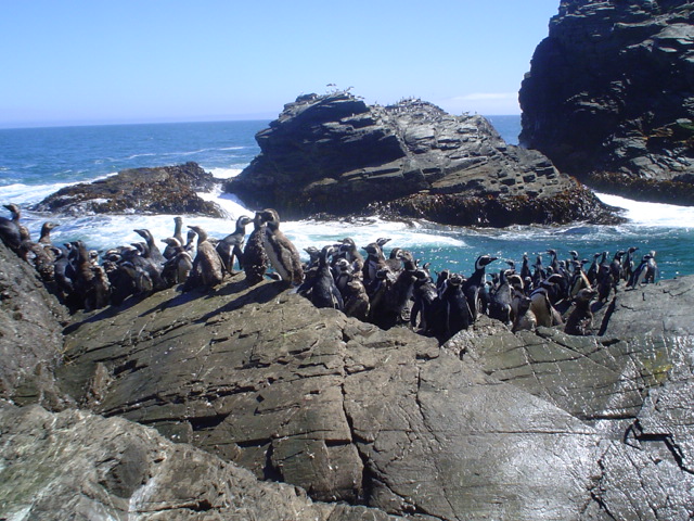 Foto de LOS MUERMOS, Chile